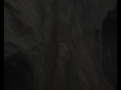 ������ �����