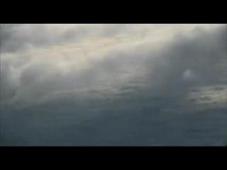 CAFE DE LOS MAESTROS