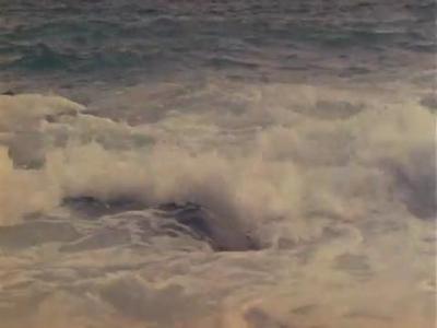 ��������-����