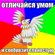 ��� ���, ���� �� 40
