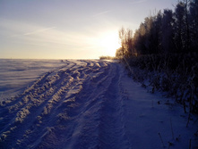 IMG_20121216_104909.jpg