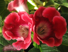 05.04.2010 8:50:19