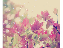 0_3e5f0_1cfebc63_L.jpg