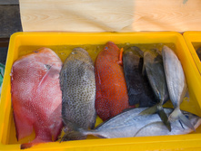 05.04.2010 14:23:33