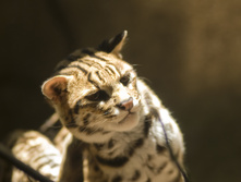 05.04.2010 14:38:20