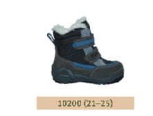 AS 10200/1.23