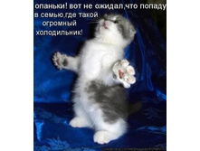 yqnJZGG_mLo.jpg