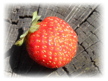 DSCN5529.JPG
