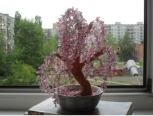 SDC10281.JPG