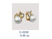 �2230.png