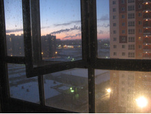 IMG_7463.jpg