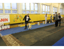 2012_12_16_6060.JPG