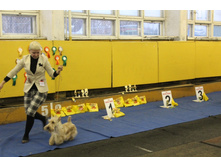 2012_12_16_6071.JPG