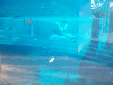 70_5476.JPG