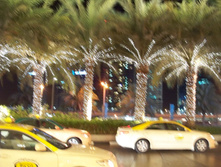100_5409.JPG