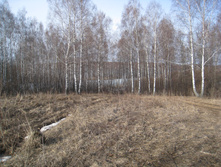 09.04.2010 9:58:12