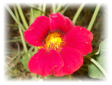 DSCN5572.JPG