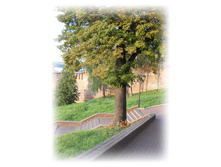 DSCN5608.JPG