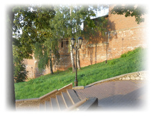 DSCN5609.JPG
