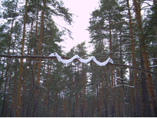 PICT0005.JPG