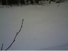 PICT0017.JPG