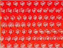 mzgsirds-006.jpg