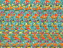 mzgsirds-009.jpg