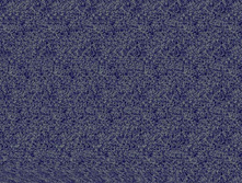 mzgsirds-056.jpg