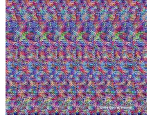 mzgsirds-057.jpg