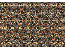 mzgsirds-060.jpg