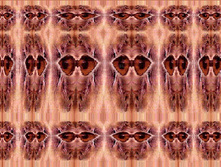 mzgsirds-067.jpg