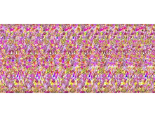mzgsirds-099.jpg