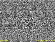 mzgsirds-114.gif