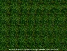 mzgsirds-115.gif