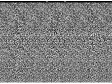 mzgsirds-122.gif