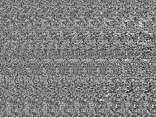 mzgsirds-127.gif