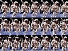 mzgsirds-142.gif