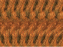 stereogram_0003.jpg