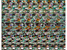 stereogram_me8.jpg