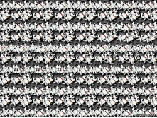 3dstereo_8.jpg