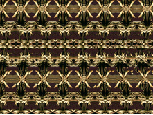 3dstereo_15.jpg