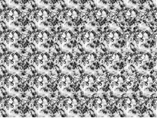 3dstereo_59.jpg