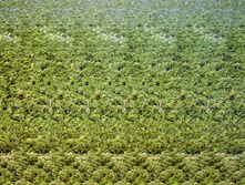 018_stereo.jpg
