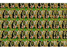 025_stereo.jpg