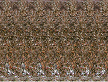 026_stereo.jpg