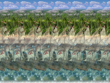 034_stereo.jpg