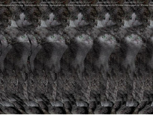 050_stereo.jpg