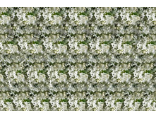 051_stereo.jpg