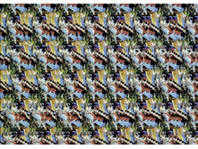 052_stereo.jpg