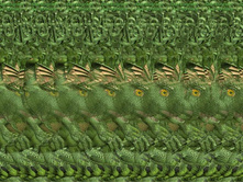 053_stereo.jpg